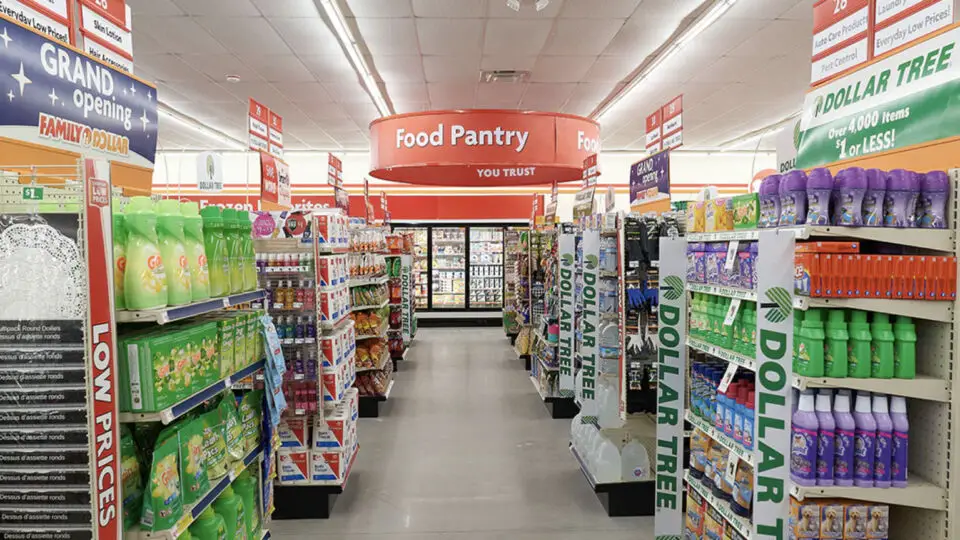 dollar tree in store image