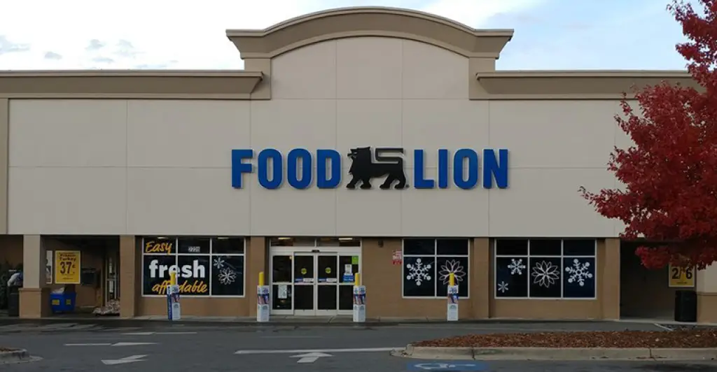 Food Lion cash checks